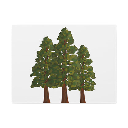 Coastal Redwood Canvas Print – Wall Art