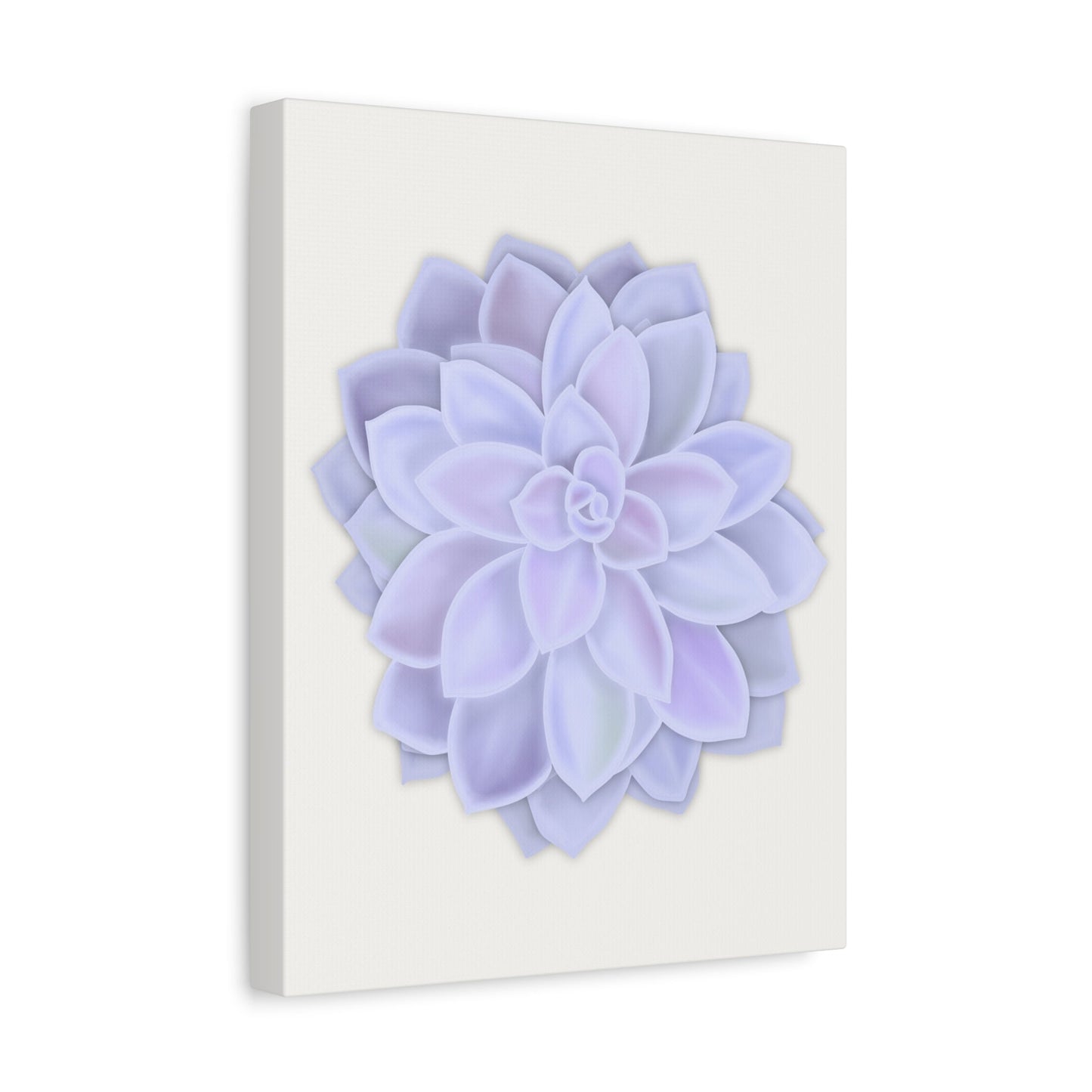 Graptopetalum Murasaki Succulent Canvas Print – Botanical Wall Art