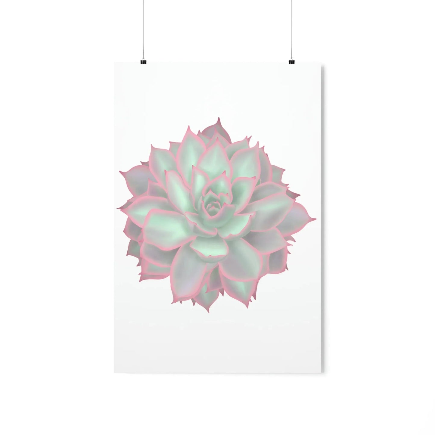 Echeveria Violet Queen Succulent Botanical Print – Unframed Wall Art