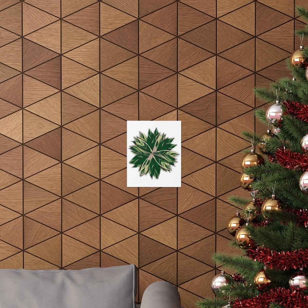 Stromanthe Triostar Botanical Print – Unframed Wall Art