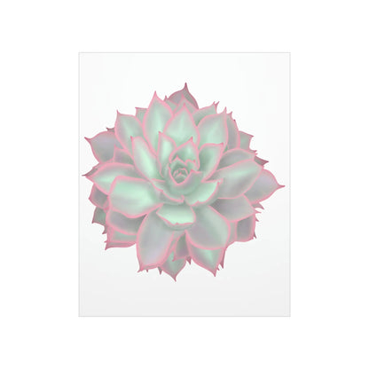 Echeveria Violet Queen Succulent Botanical Print – Unframed Wall Art