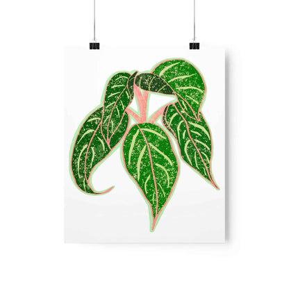 Aglaonema Sparkling Sarah Botanical Print – Unframed Wall Art