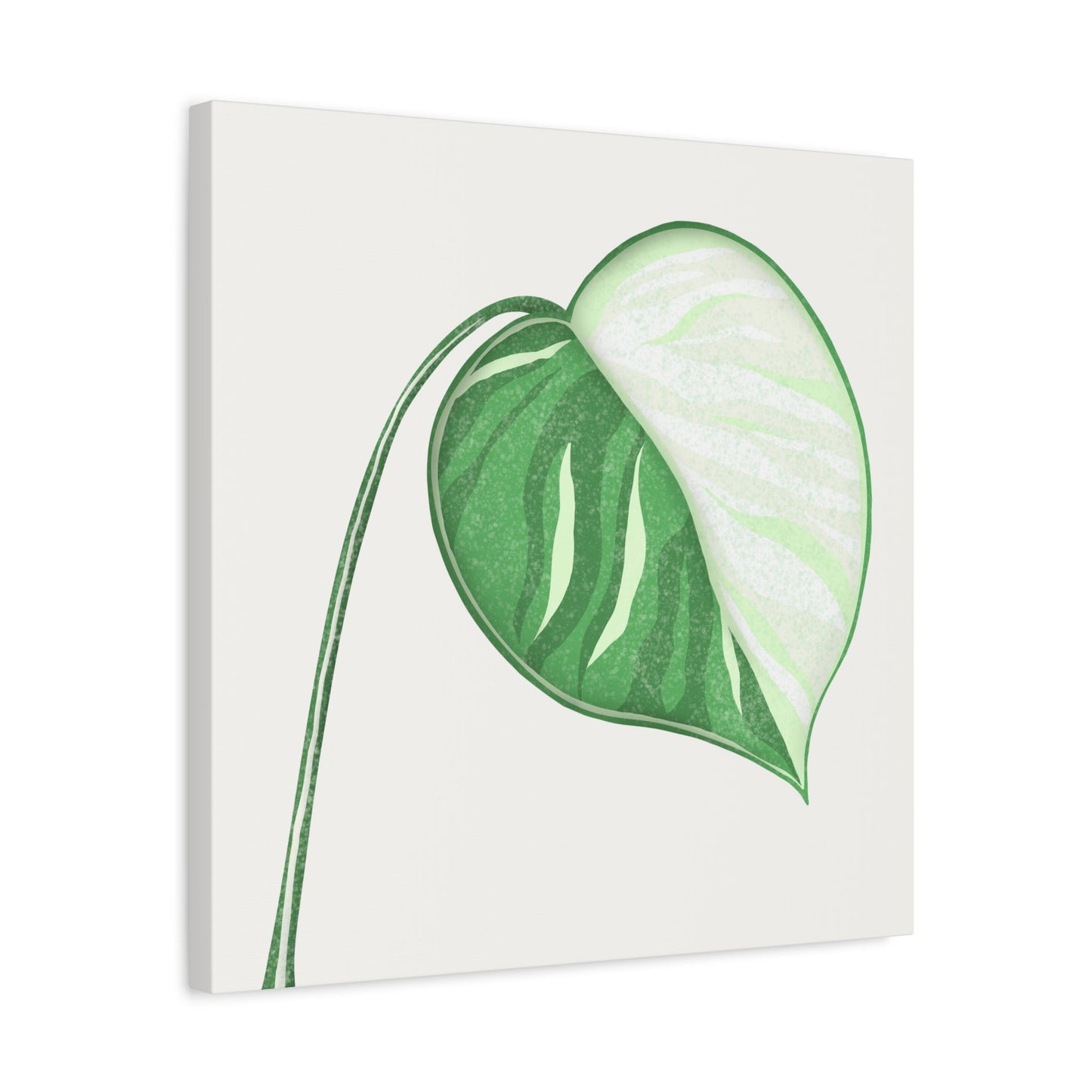 Monstera Albo Canvas Print – Botanical Wall Art