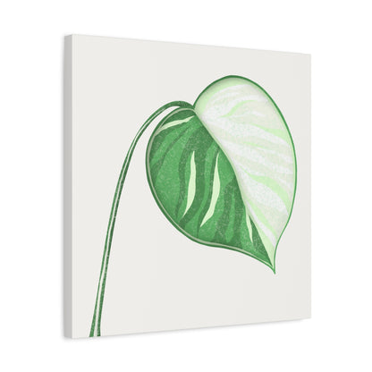 Monstera Albo Canvas Print – Botanical Wall Art