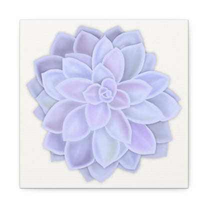 Graptopetalum Murasaki Succulent Canvas Print – Botanical Wall Art