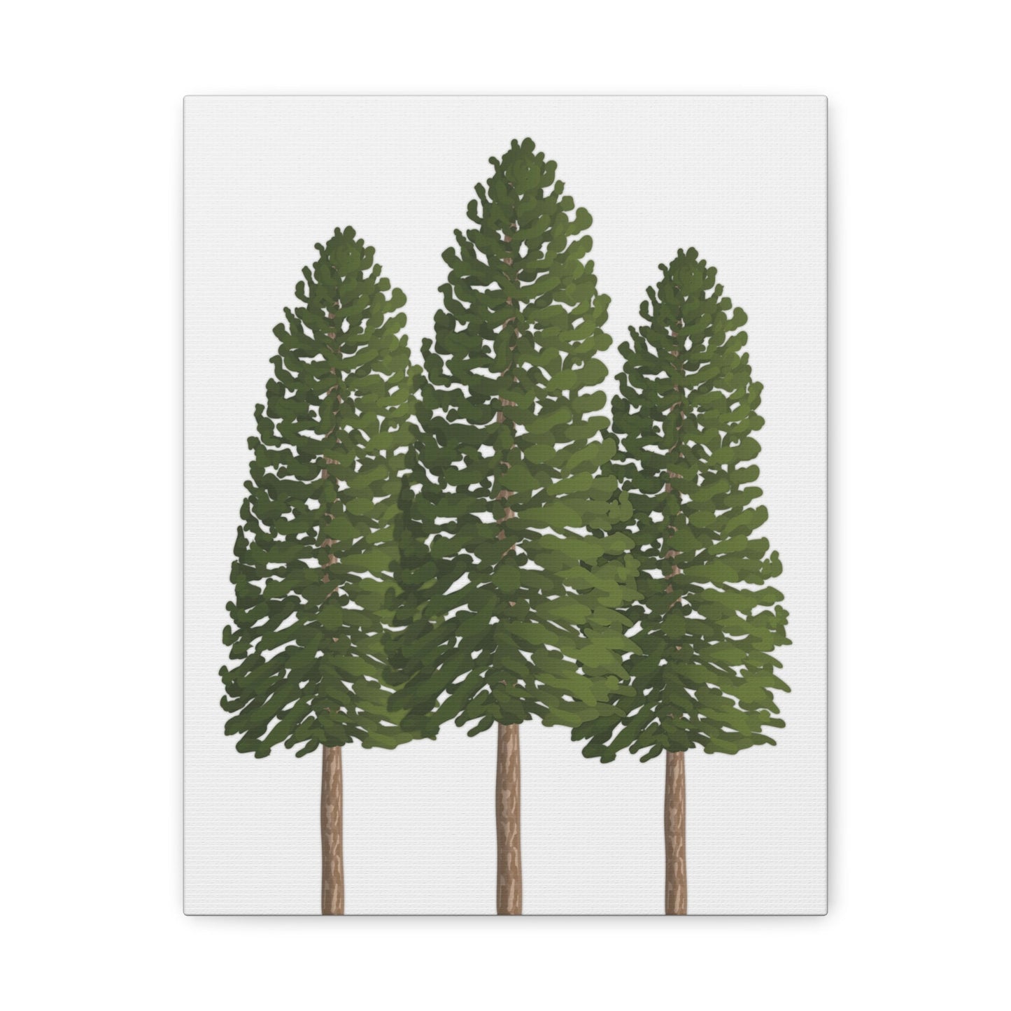 Ponderosa Pine Canvas Print – Wall Art