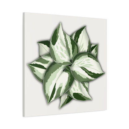 Manjula Pothos Canvas Print – Botanical Wall Art