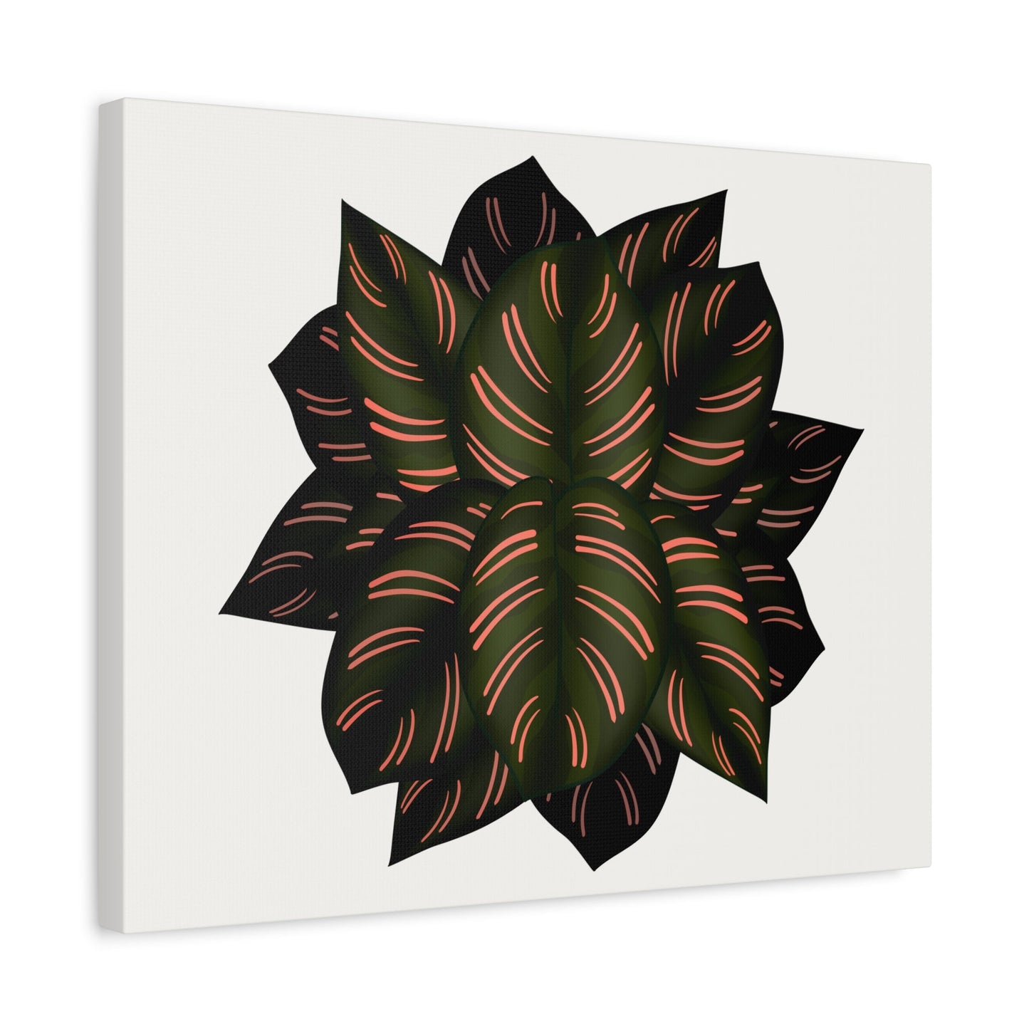 Calathea Pinstripe Canvas Print – Botanical Wall Art