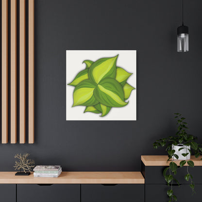 Philodendron Brasil Canvas Print – Botanical Wall Art