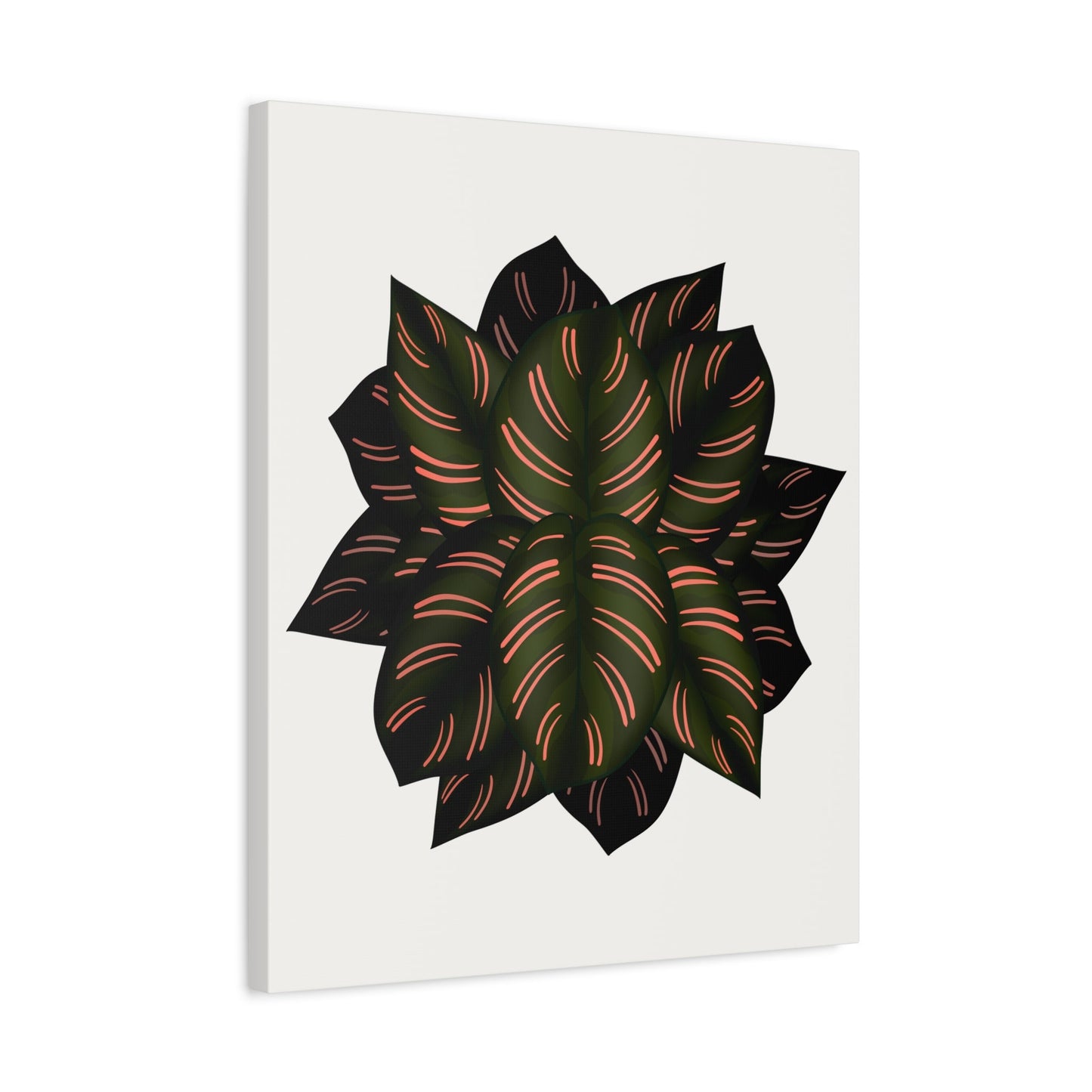 Calathea Pinstripe Canvas Print – Botanical Wall Art