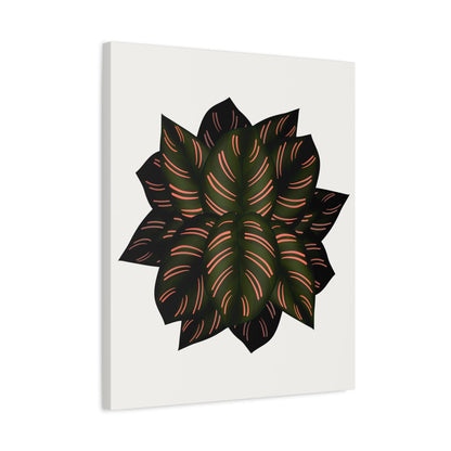 Calathea Pinstripe Canvas Print – Botanical Wall Art