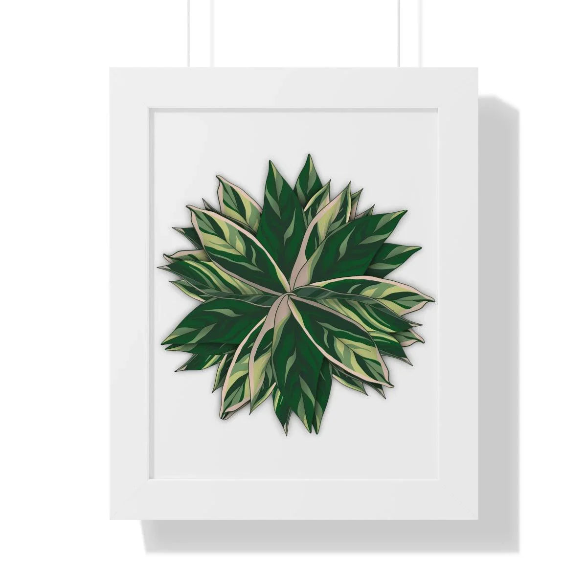 Stromanthe Triostar Framed Print – Botanical Wall Art