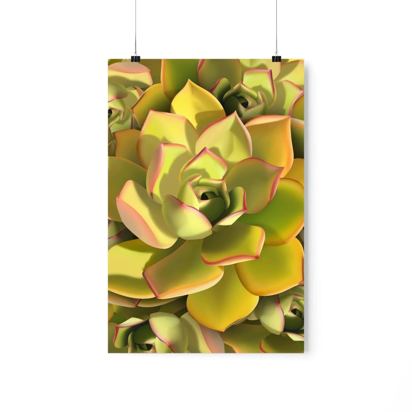 Noble Aeonium Succulent Pattern Botanical Print – Unframed Wall Art