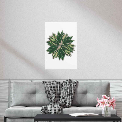 Stromanthe Triostar Botanical Print – Unframed Wall Art