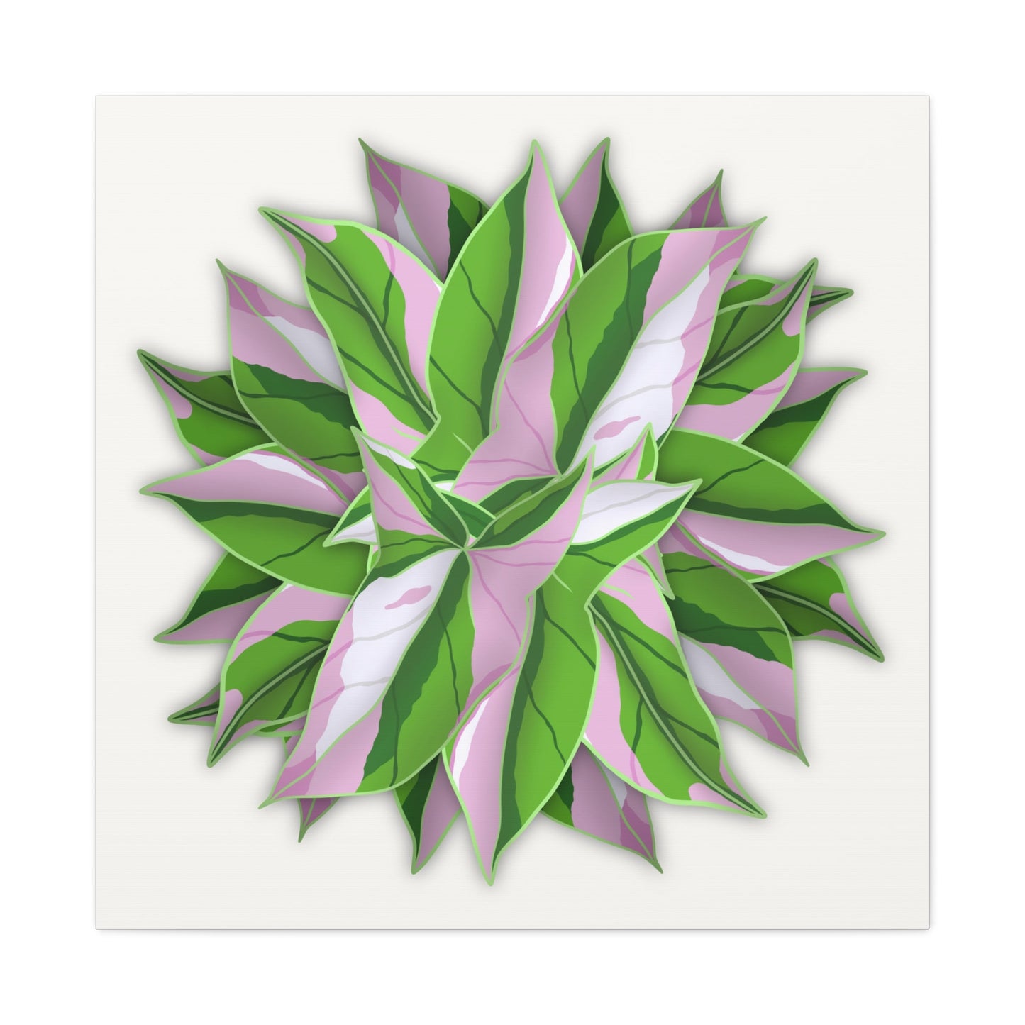 Syngonium Tricolor Pattern Canvas Print – Botanical Wall Art
