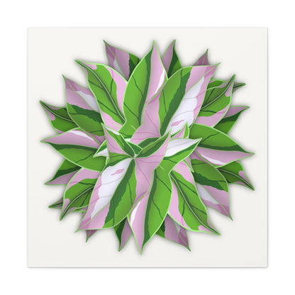 Syngonium Tricolor Pattern Canvas Print – Botanical Wall Art