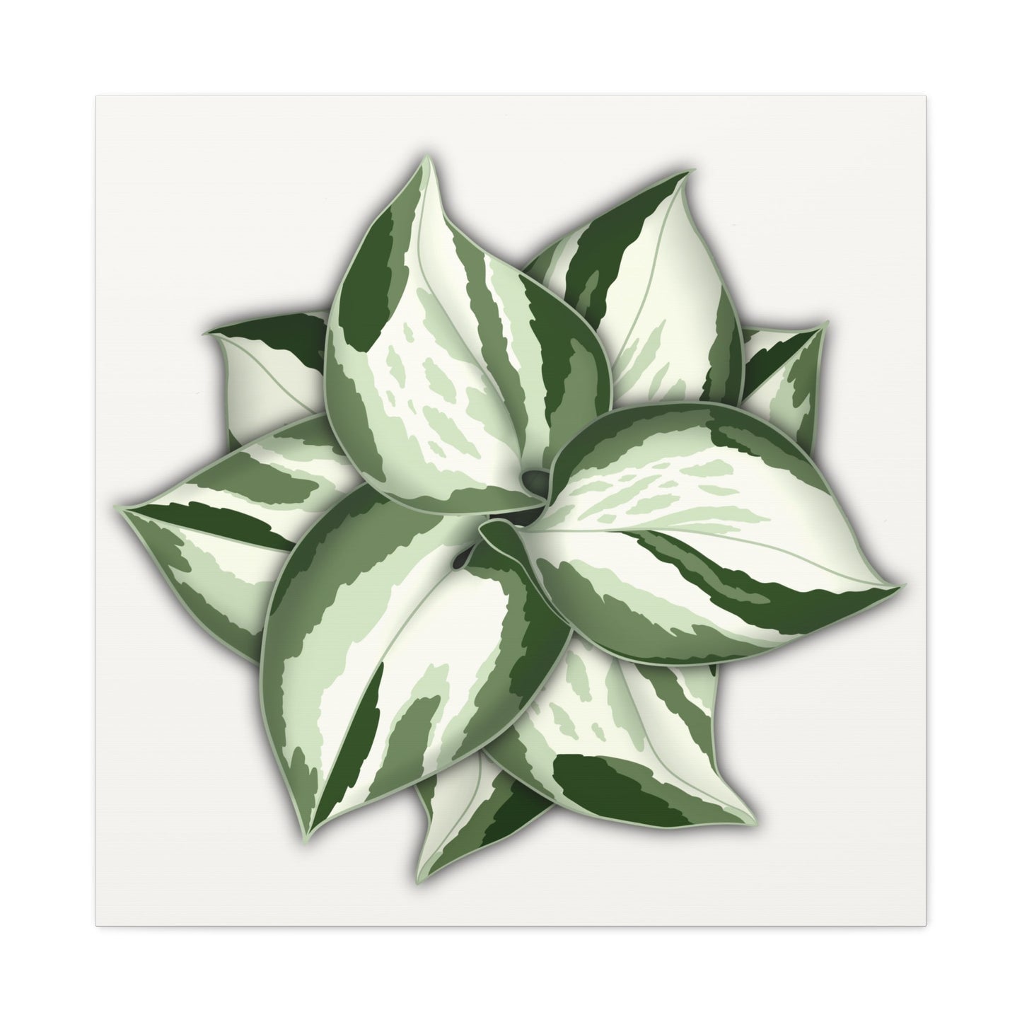 Manjula Pothos Canvas Print – Botanical Wall Art