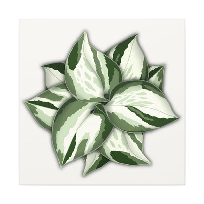 Manjula Pothos Canvas Print – Botanical Wall Art