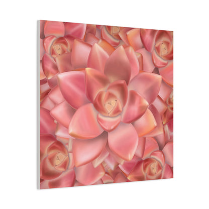 Graptosedum California Sunset Succulent Pattern Canvas Print – Botanical Wall Art