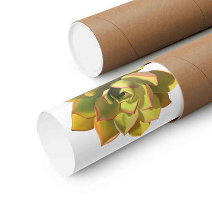 Noble Aeonium Succulent Botanical Print – Unframed Wall Art