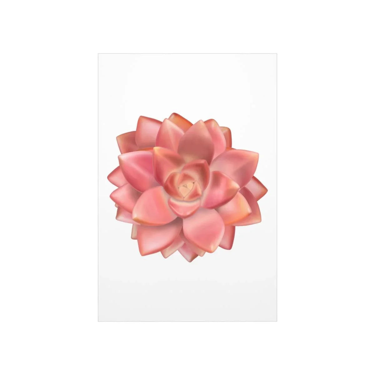 Graptosedum California Sunset Succulent Botanical Print – Unframed Wall Art