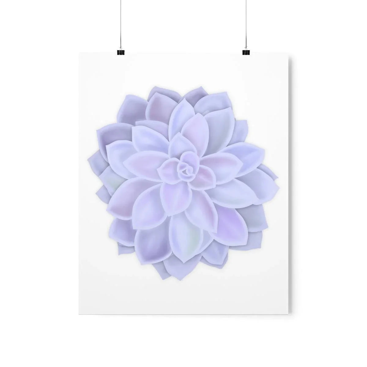 Graptopetalum Murasaki Succulent Botanical Print – Unframed Wall Art