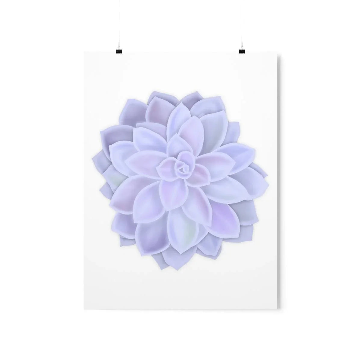 Graptopetalum Murasaki Succulent Botanical Print – Unframed Wall Art
