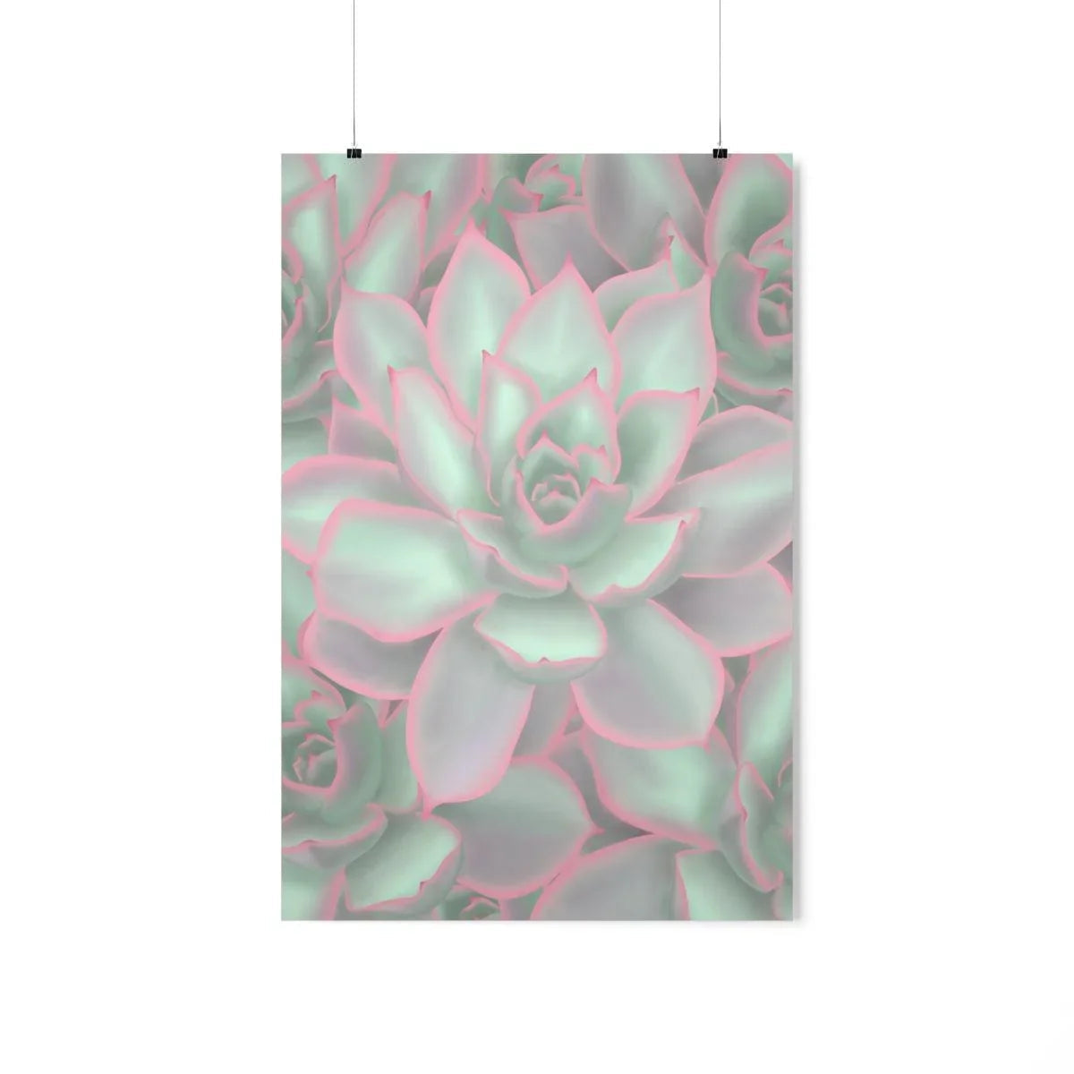 Echeveria Violet Queen Succulent Pattern Botanical Print – Unframed Wall Art