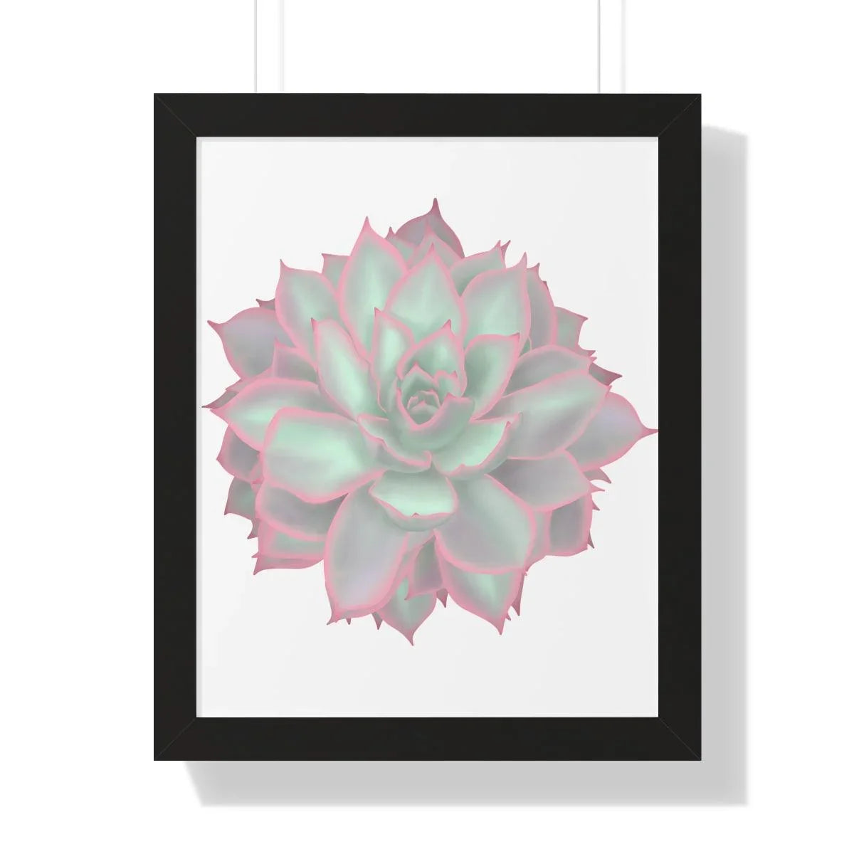 Echeveria Violet Queen Succulent Framed Print – Botanical Wall Art