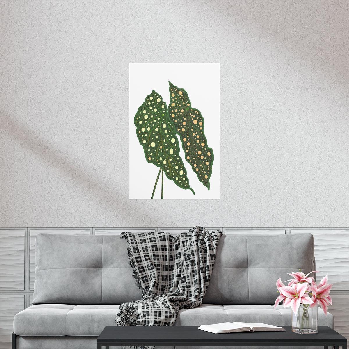Begonia Maculata Botanical Print – Unframed Wall Art