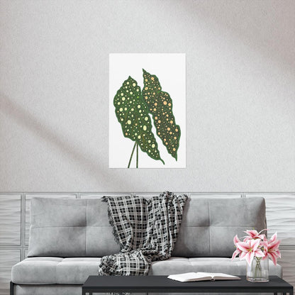 Begonia Maculata Botanical Print – Unframed Wall Art