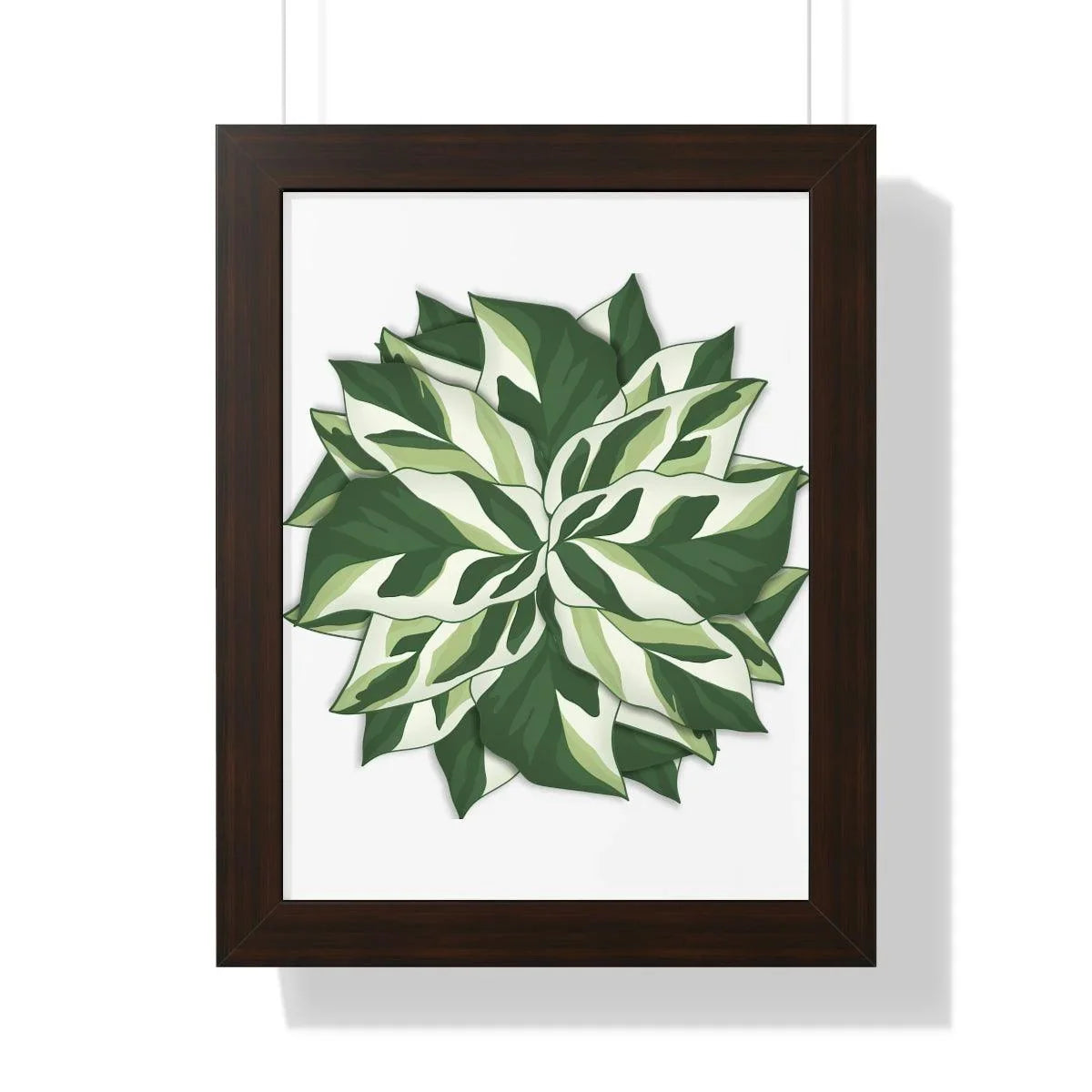 Calathea White Fusion Framed Print – Botanical Wall Art