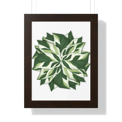 Calathea White Fusion Framed Print – Botanical Wall Art