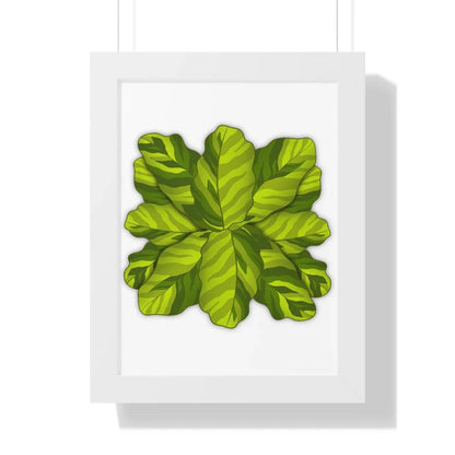 Calathea Yellow Fusion Framed Print – Botanical Wall Art