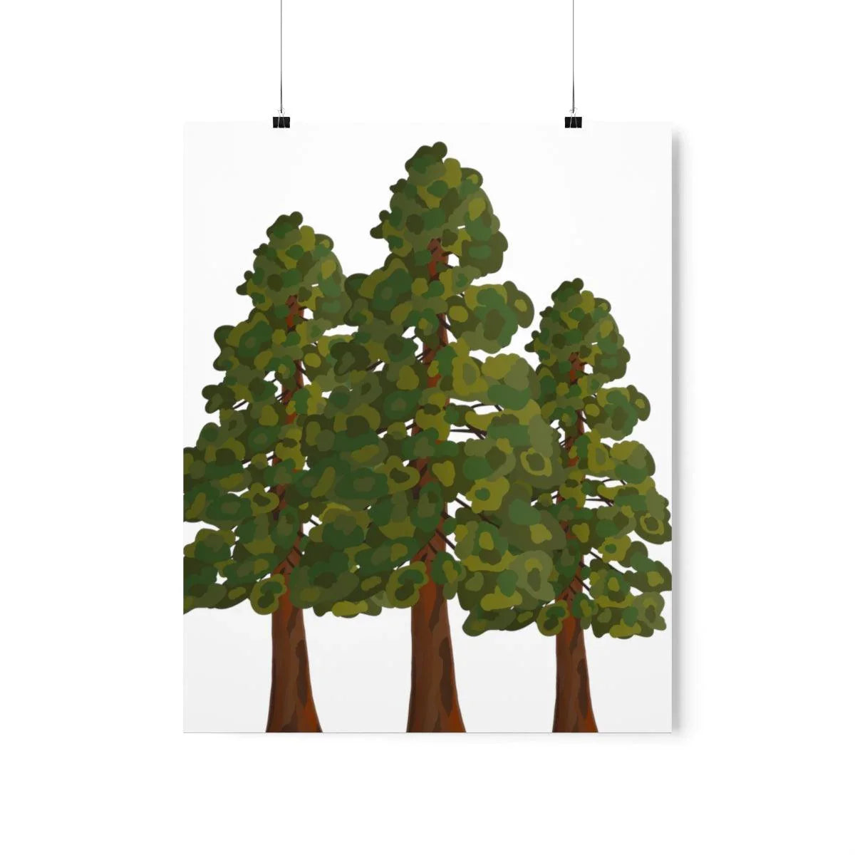 Coastal Redwood Print – Unframed Wall Art