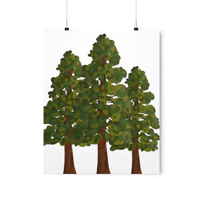 Coastal Redwood Print – Unframed Wall Art