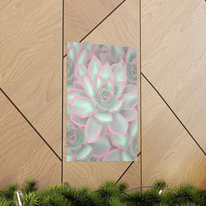Echeveria Violet Queen Succulent Pattern Botanical Print – Unframed Wall Art