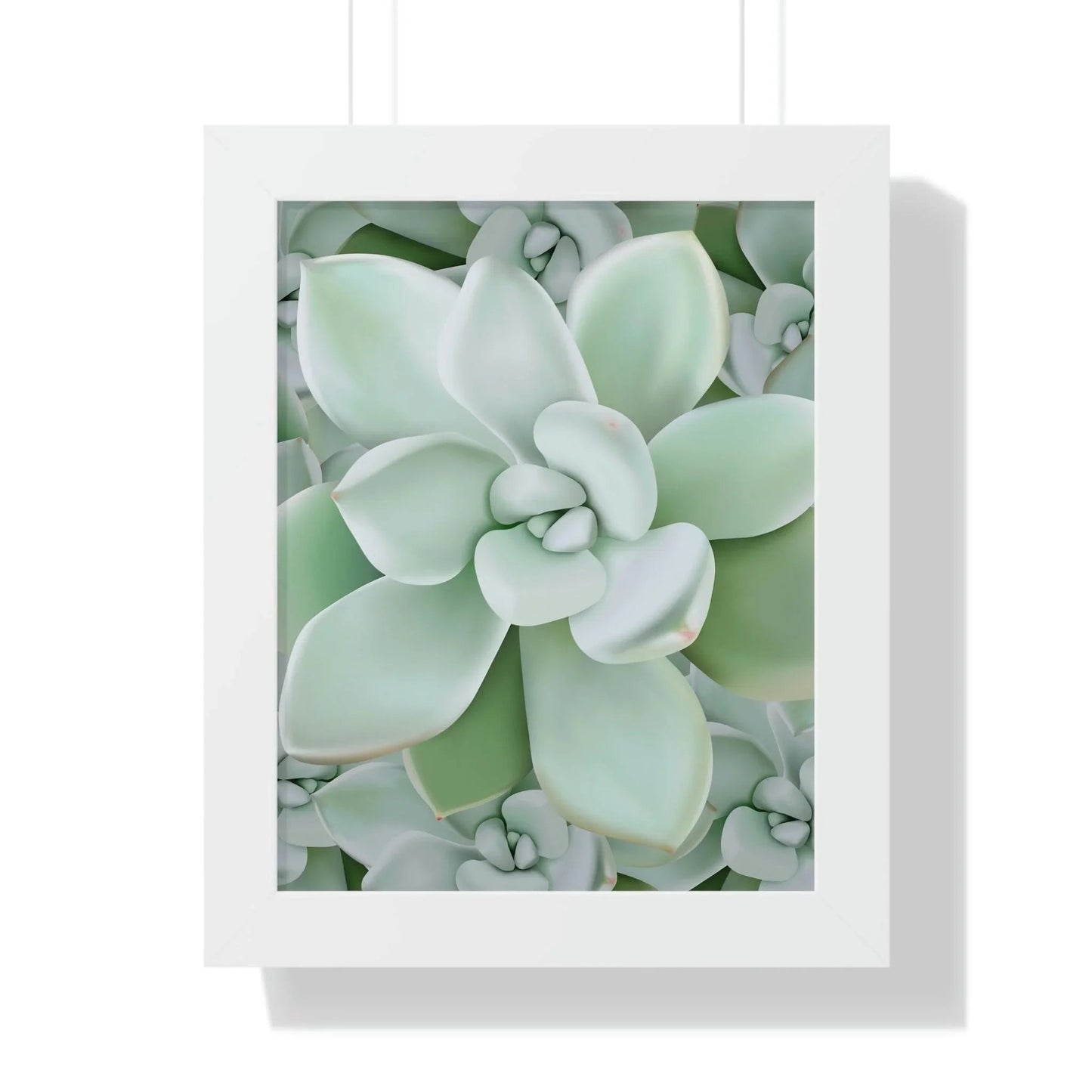 Pachyveria Haagei Succulent Pattern Framed Print – Botanical Wall Art