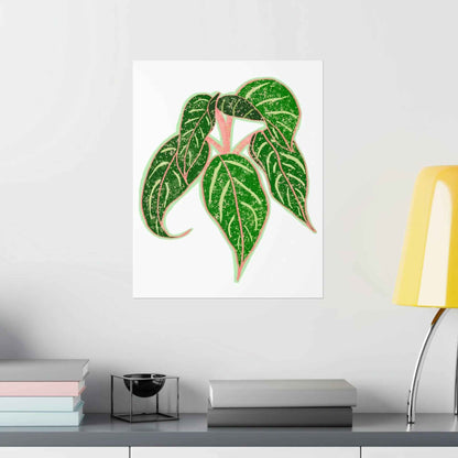 Aglaonema Sparkling Sarah Botanical Print – Unframed Wall Art