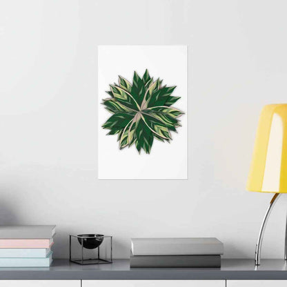 Stromanthe Triostar Botanical Print – Unframed Wall Art