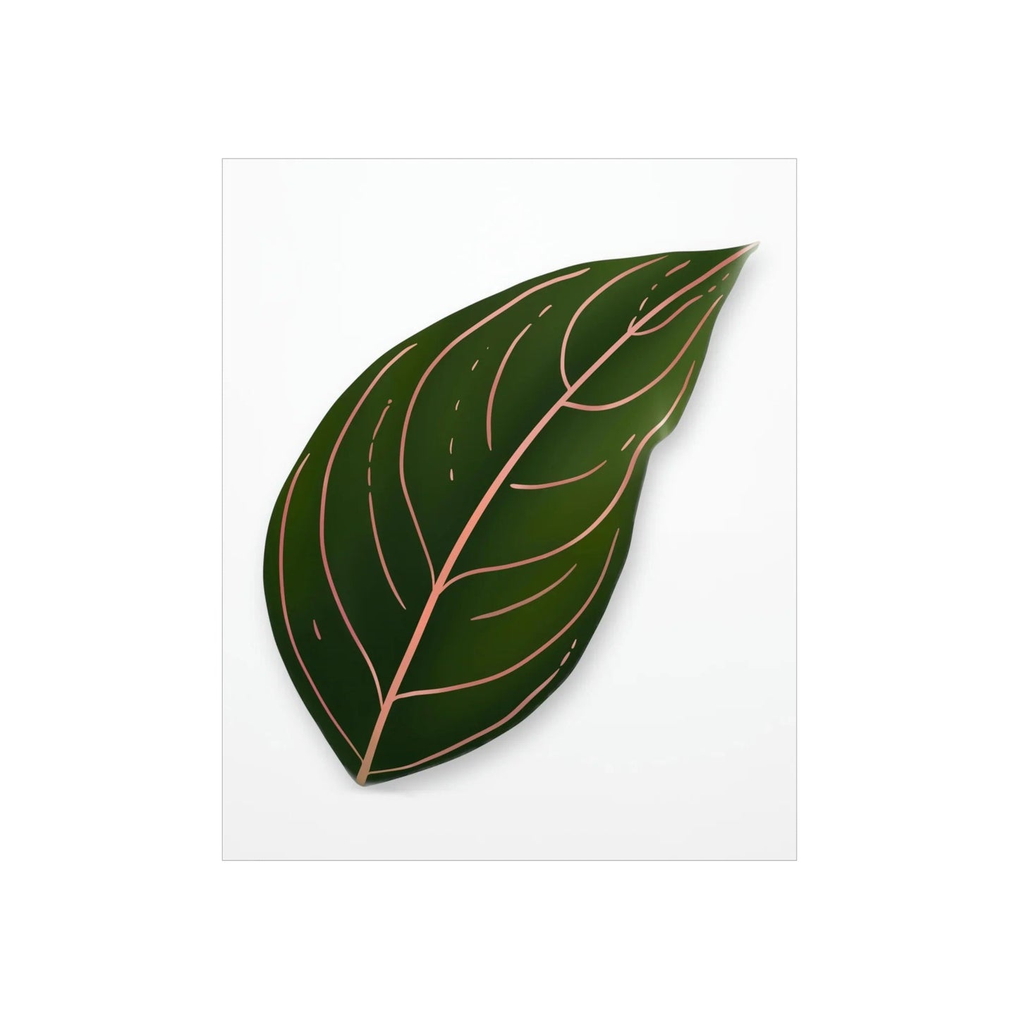 Aglaonema Rotundum Botanical Print – Unframed Wall Art
