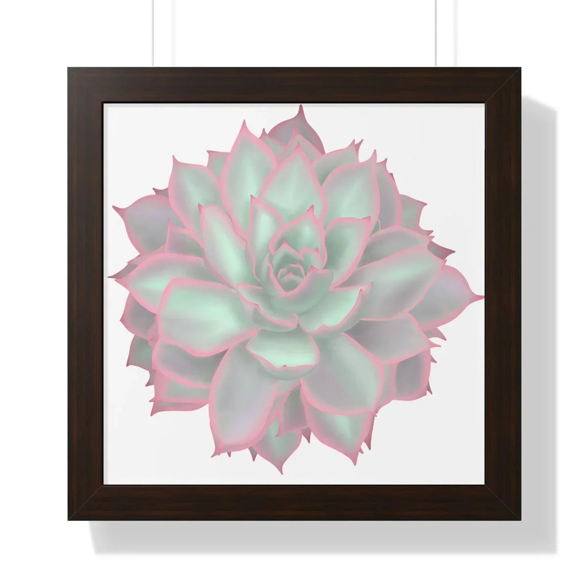 Echeveria Violet Queen Succulent Framed Print – Botanical Wall Art