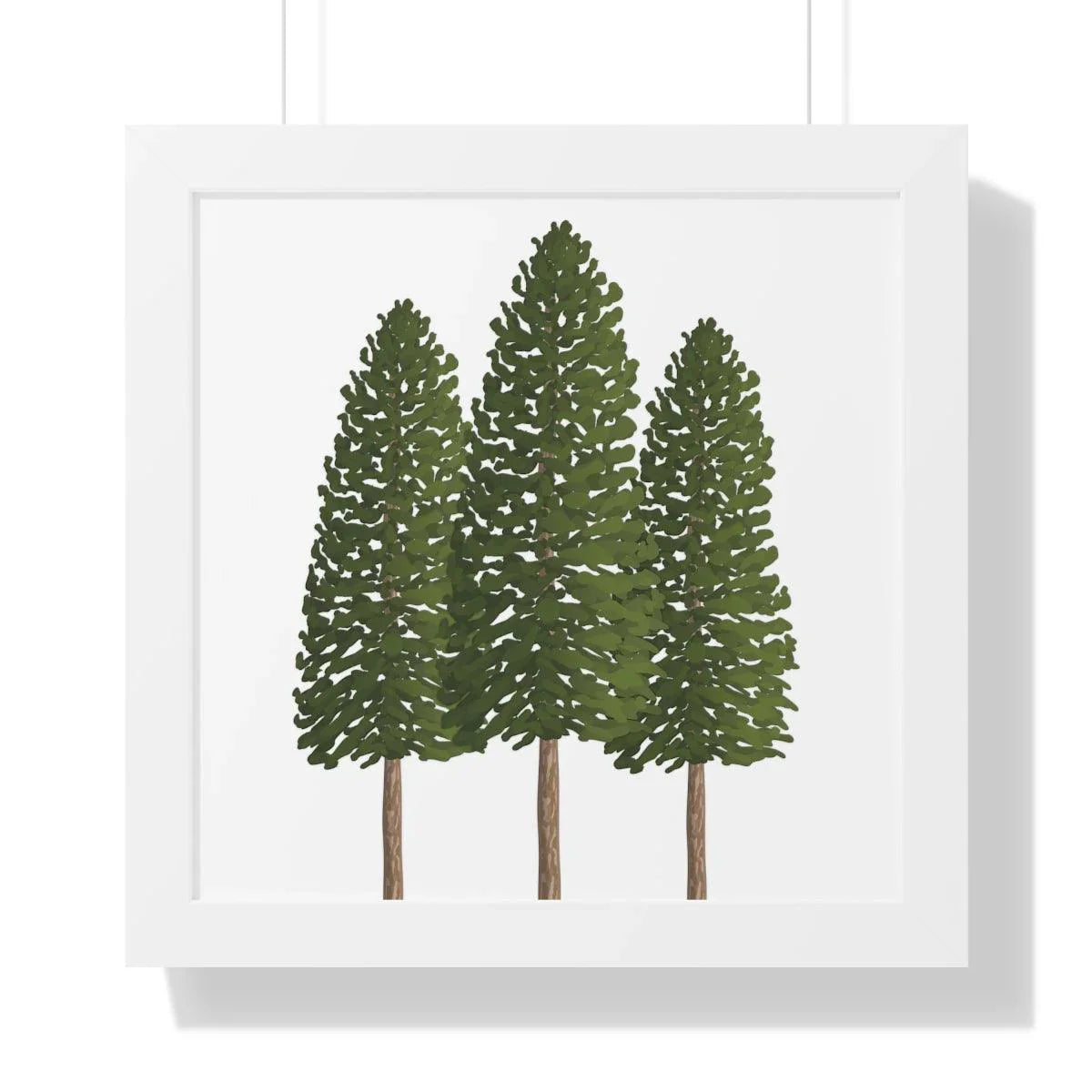 Ponderosa Pine Framed Print – Wall Art