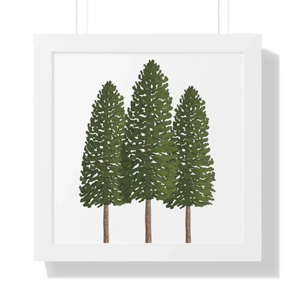 Ponderosa Pine Framed Print – Wall Art