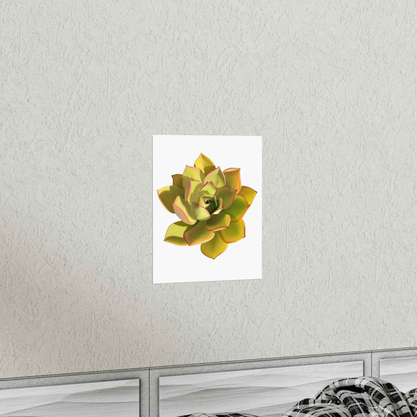Noble Aeonium Succulent Botanical Print – Unframed Wall Art