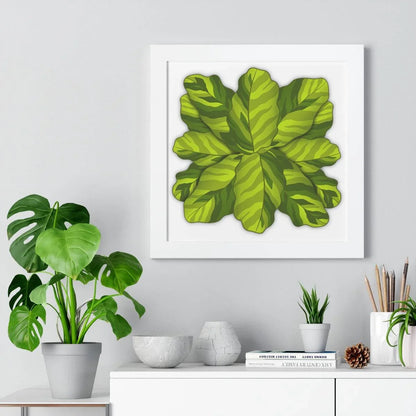 Calathea Yellow Fusion Framed Print – Botanical Wall Art