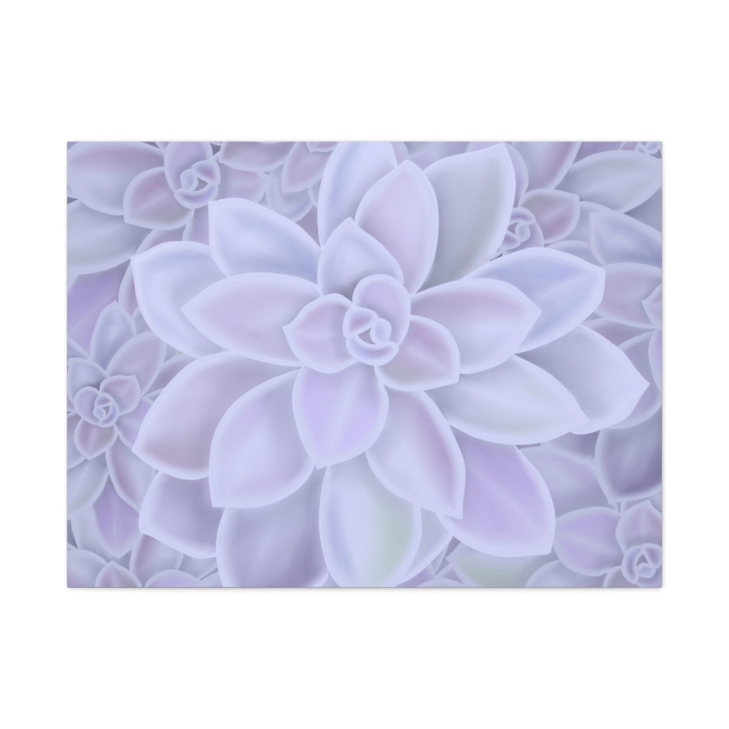 Graptopetalum Murasaki Succulent Pattern Canvas Print – Botanical Wall Art