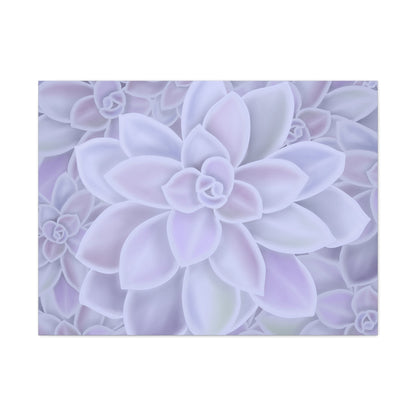 Graptopetalum Murasaki Succulent Pattern Canvas Print – Botanical Wall Art