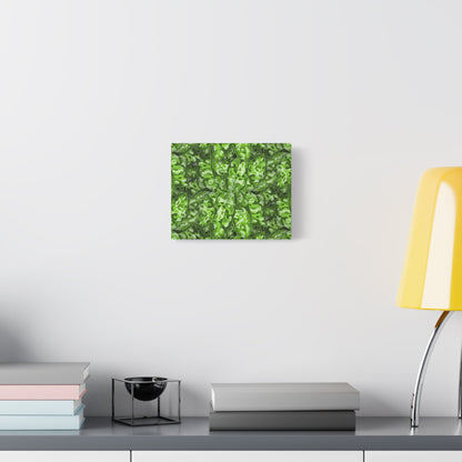Aglaonema Pictum Canvas Print – Botanical Wall Art