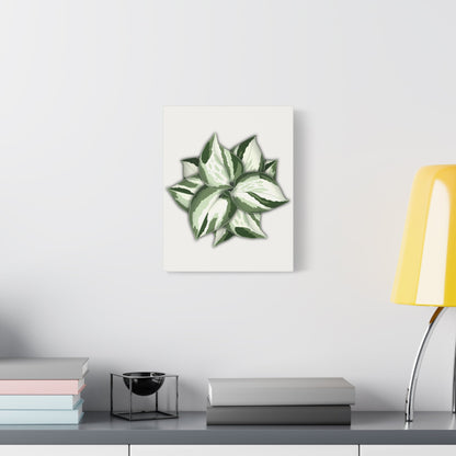 Manjula Pothos Canvas Print – Botanical Wall Art